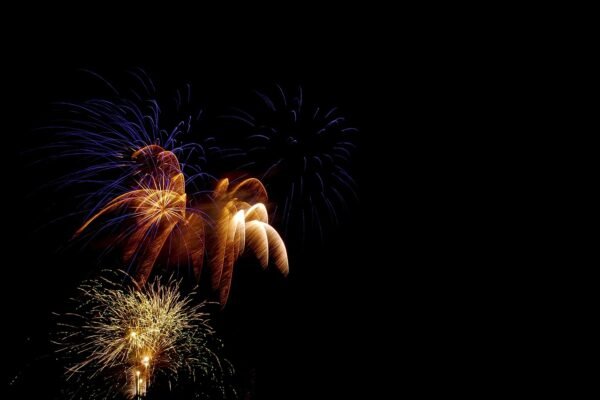Naturaleza Encendida regresa a Madrid con un mágico viaje lumínico